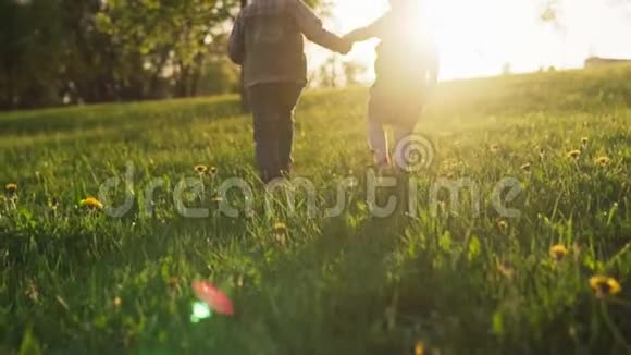 孩子们牵着手一起在草地上散步阳光明媚的夏日视频的预览图