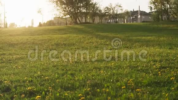 日落时分孩子们牵着手一起在夏日草地上奔跑视频的预览图