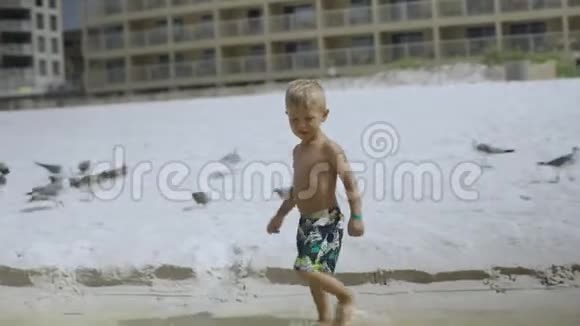 在晴朗的天气里小男孩在美丽的海滩上和鸟鸥玩耍视频的预览图