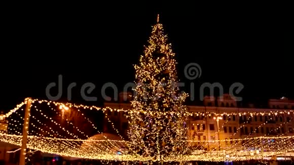 有很多灯的大圣诞树视频的预览图