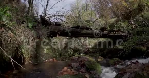 靠近河道的横向移动可以看到一座古老的木桥视频的预览图