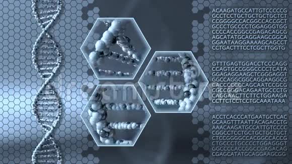 旋转DNA分子蓝色运动背景遗传研究医学实验室或分子诊断概念视频的预览图