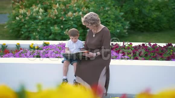 小男孩和奶奶在公园里看一本有照片的书视频的预览图
