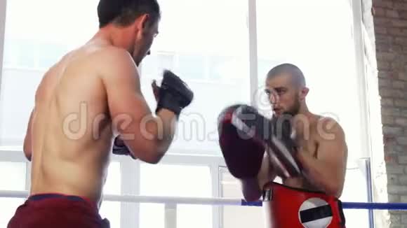 一架强壮肌肉的mma战斗者与帕德曼的后视镜头视频的预览图
