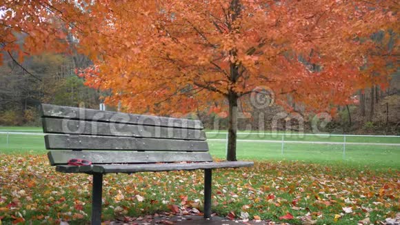 秋天公园附近的一个公园长椅被锁定视频的预览图