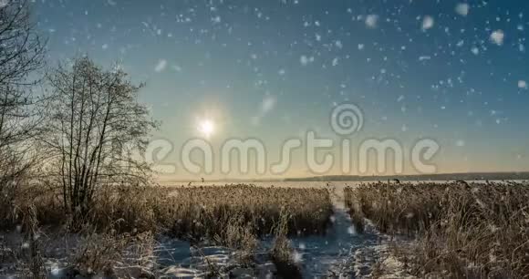 电影雪落在海霜松枝上冬季动画视频的预览图