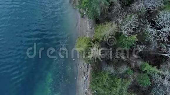在北温哥华的深湾附近的森林和步行道的头顶拍摄视频的预览图