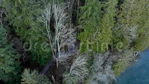 在北温哥华的深湾附近的森林和步行道的头顶拍摄视频的预览图