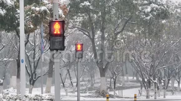 雪中行人的交通灯城市冬季景观行人交通灯在繁忙时间工作视频的预览图