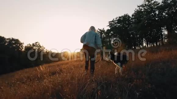 日落时分女人和狗在大自然中奔跑与宠物一起享受夏日时光视频的预览图