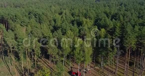 合法砍伐森林恢复森林砍伐面积现代采伐视频的预览图