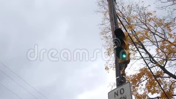 秋天的路灯从绿到红视频的预览图