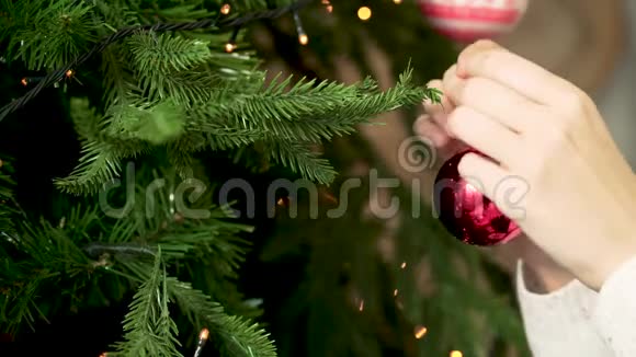 女人手上挂圣诞玩具特写装饰圣诞树新年和圣诞节的概念视频的预览图