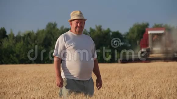中年农民看着镜头在金色麦田里联合收割小麦植物视频的预览图