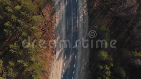 当汽车在穿过森林的道路上行驶时空气视野汽车穿过森林空中观景4K视频的预览图