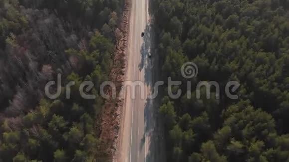 当汽车在穿过森林的道路上行驶时空气视野汽车穿过森林空中观景4K视频的预览图