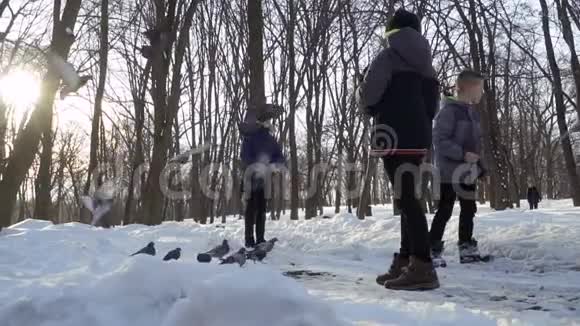 三个男孩在冬季公园喂鸽子视频的预览图
