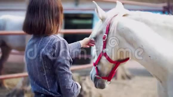 迷人的女孩在畜栏中抚摸一匹白马视频的预览图