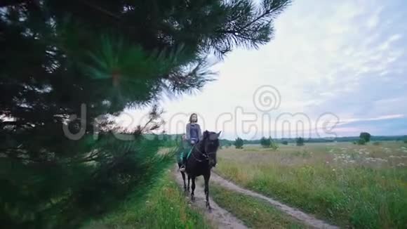 美丽的女子骑在黑色的马背上在夏野的小径视频的预览图