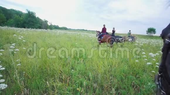 马在草地上骑马的骑手面前吃草的画像视频的预览图