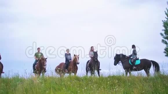 一群骑在马背上的骑手站在宽阔的草地上视频的预览图