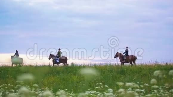 一群骑马的骑手在日落的时候骑着马向前行进视频的预览图