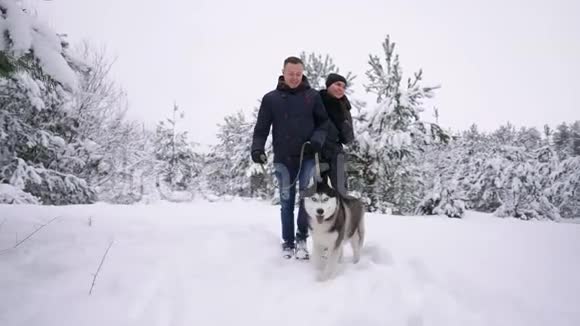 一对年轻夫妇在湖边的冬季公园里玩得很开心他们的朋友哈士奇狗在明亮的一天拥抱着对方视频的预览图