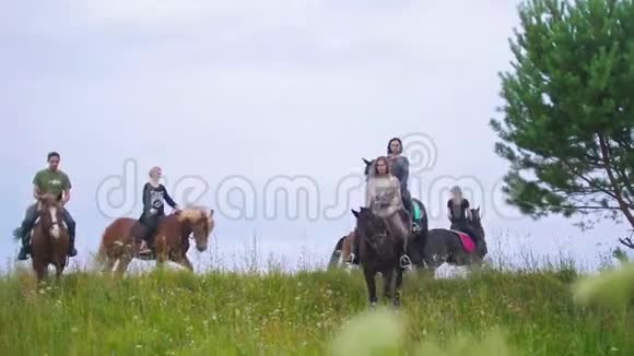 一群骑着马走在草地上的马视频的预览图