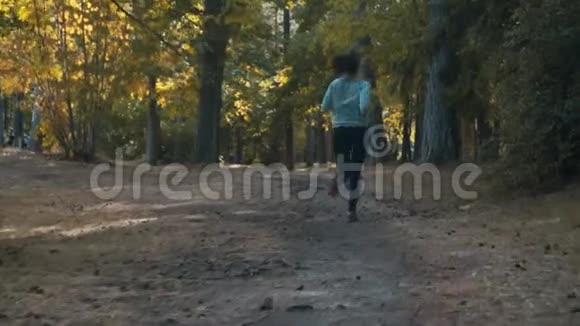 一个阳光明媚的夏天女孩在树林里慢跑视频的预览图