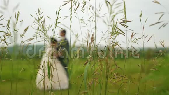 新娘的剪影穿着漂亮的白色连衣裙新郎在草地上跳舞一对相爱的夫妇的团队合作开心快乐视频的预览图