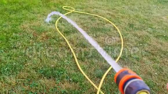 特写男性手握一根浇水软管在草坪上浇草视频的预览图
