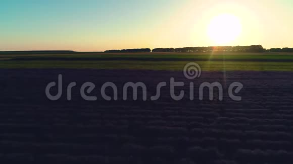 乡村农业用地的空中日落景色视频的预览图