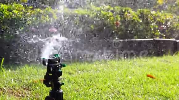 泉水系统用于花园中的植物浇水全高清1080p慢动作视频的预览图