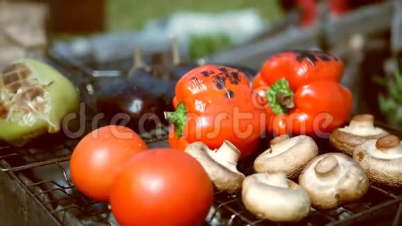 蔬菜番茄蘑菇辣椒茄子视频的预览图