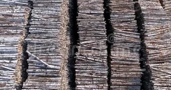 切块的仓库成排整齐木材切割视频的预览图