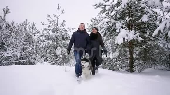 一对年轻夫妇在湖边的冬季公园里玩得很开心他们的朋友哈士奇狗在明亮的一天拥抱着对方视频的预览图
