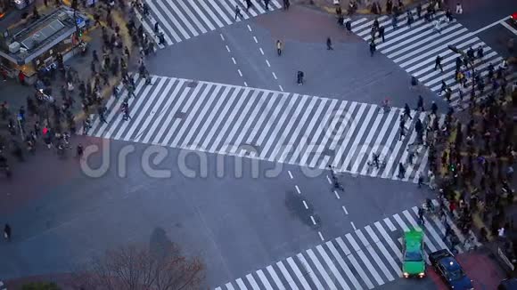 城市行人交通Shibuya东京视频的预览图