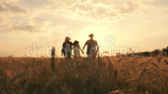 日落时麦田里的农民家庭视频的预览图