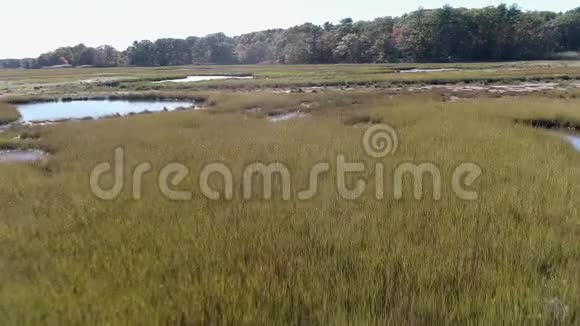 空中无人机低飞过沼泽通过小河流4K视频的预览图