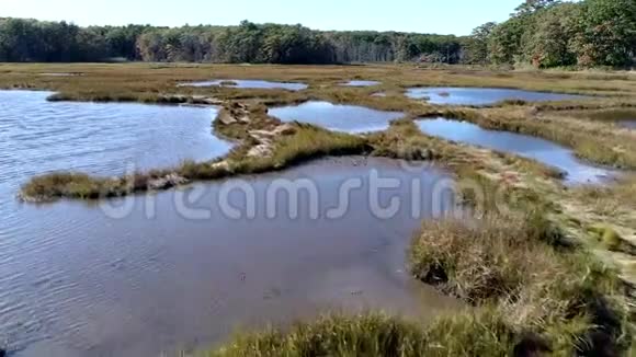 空中无人机低飞过沼泽通过水域4K视频的预览图