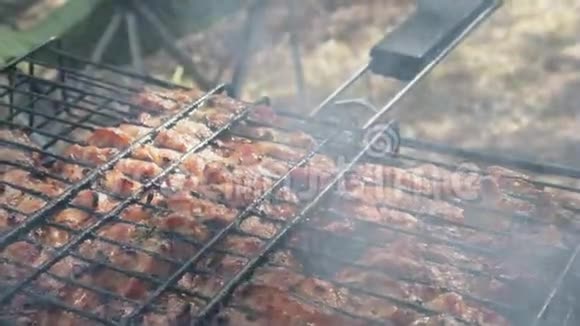 烤肉架上的肉视频的预览图