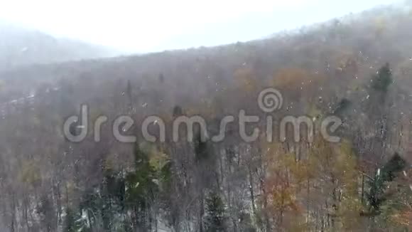 空中无人机驾驶雪4K飞越裸露森林视频的预览图