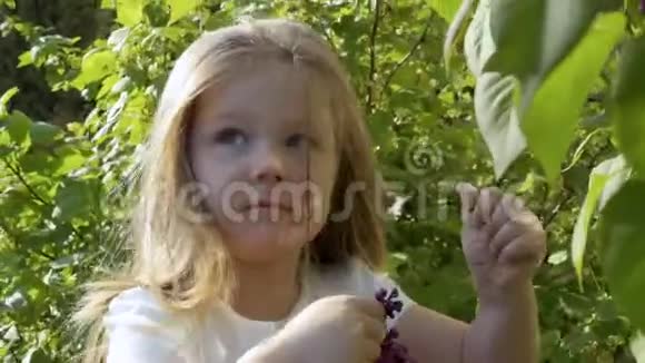 可爱的小女孩抚摸着花边的紫丁香微笑着视频的预览图