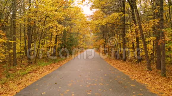 秋色缅因州乡村旅游一巷路秋季视频的预览图