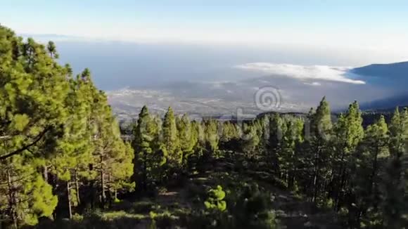 特内里费岛从该岛南部的火山上看到加那利群岛和大西洋景色用于视频的预览图