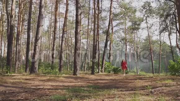 带着蝴蝶结走在森林里的年轻女子视频的预览图