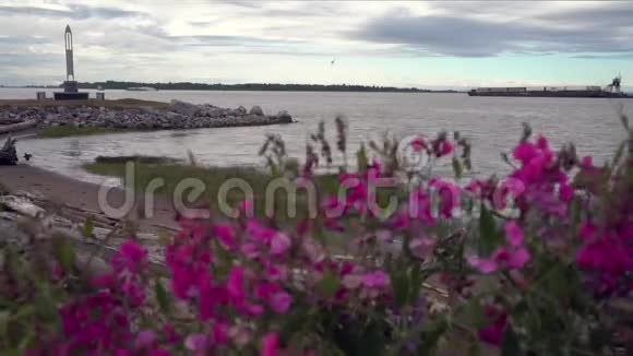 弗雷泽河花卉和驳船4KUHD视频的预览图