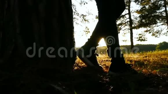 日落时一个年轻的女孩正站在森林里背对着树树林里一个女孩的剪影视频的预览图