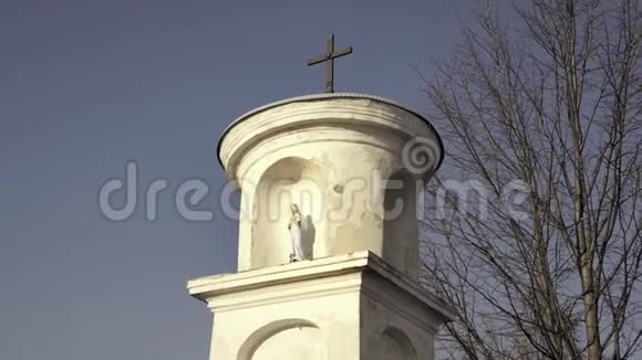 圣母玛利亚与耶稣的雕像小基督教十字架蓝天和背景树视频的预览图