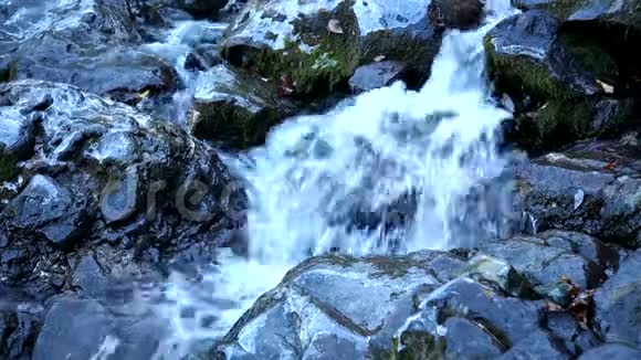 纯天然饮用水源视频的预览图
